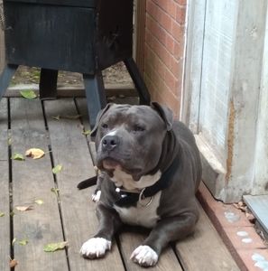 Meet your Posher, Dee